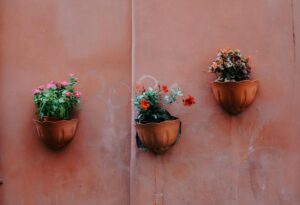Jardins verticais para apartamentos pequenos: ideias e dicas para um lar verde